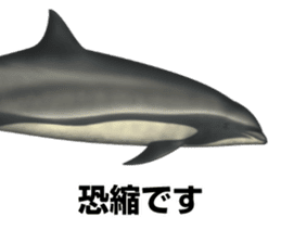 REALISTIC DOLPHINS sticker #2957805
