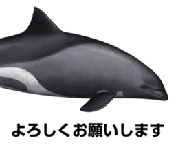 REALISTIC DOLPHINS sticker #2957806