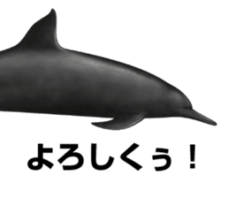 REALISTIC DOLPHINS sticker #2957807