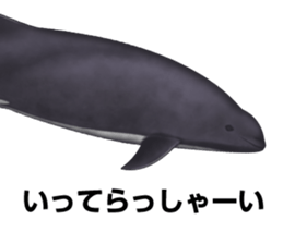 REALISTIC DOLPHINS sticker #2957808