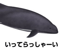 REALISTIC DOLPHINS sticker #2957808