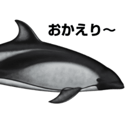 REALISTIC DOLPHINS sticker #2957811