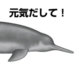 REALISTIC DOLPHINS sticker #2957818