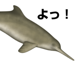 REALISTIC DOLPHINS sticker #2957821