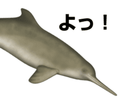 REALISTIC DOLPHINS sticker #2957821