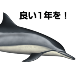 REALISTIC DOLPHINS sticker #2957823