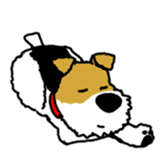 Ramis the fox terrier sticker #2957963