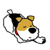 Ramis the fox terrier sticker #2957963