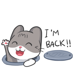 Meow Daily Expressions