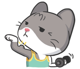 Meow Daily Expressions sticker #2960434