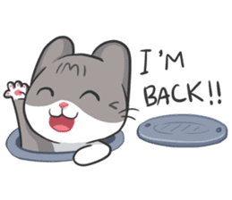 Meow Daily Expressions sticker #2960437