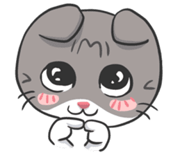 Meow Daily Expressions sticker #2960438