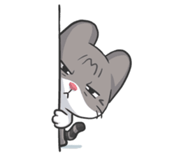 Meow Daily Expressions sticker #2960444