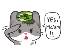 Meow Daily Expressions sticker #2960452