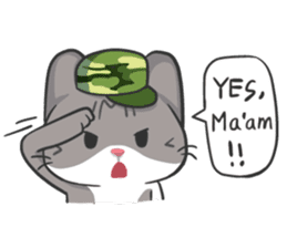Meow Daily Expressions sticker #2960452