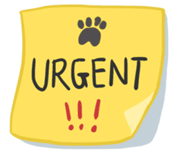 Meow Daily Expressions sticker #2960454