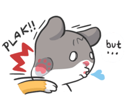 Meow Daily Expressions sticker #2960456