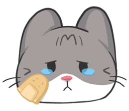 Meow Daily Expressions sticker #2960457