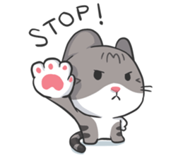 Meow Daily Expressions sticker #2960462
