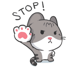 Meow Daily Expressions sticker #2960462