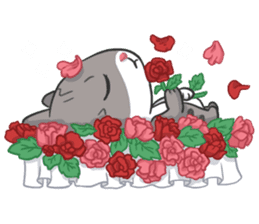 Meow Daily Expressions sticker #2960463