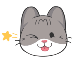 Meow Daily Expressions sticker #2960466