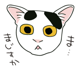 tsukineko ''TOKI'' Sticker sticker #2961564