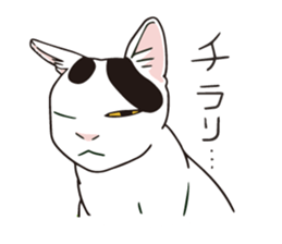 tsukineko ''TOKI'' Sticker sticker #2961572