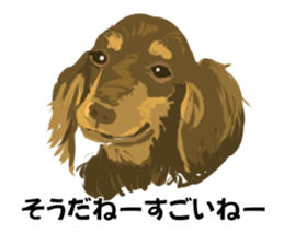 ANIMALS101 sticker #2963966