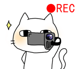 Exasperating cat sticker #2966168