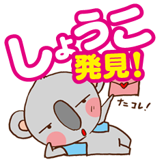 Its name name detective koala