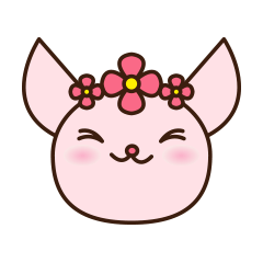 KAWAII!!!Funny Smooth Chihuahua Juliet