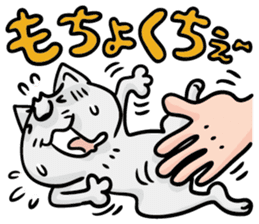 Direct teaching! Madam Shimako sticker #2968809