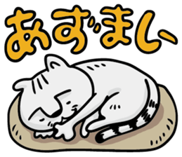 Direct teaching! Madam Shimako sticker #2968810