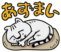 Direct teaching! Madam Shimako sticker #2968810