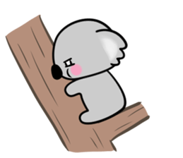 koala~ sticker #2969312