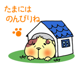 Sincerity dog. sticker #2970102