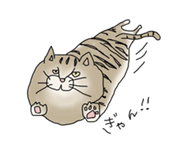 nyao,nyao,nyaa- sticker #2976638