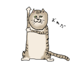 nyao,nyao,nyaa- sticker #2976643