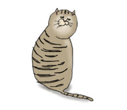 nyao,nyao,nyaa- sticker #2976662