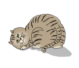 nyao,nyao,nyaa- sticker #2976663