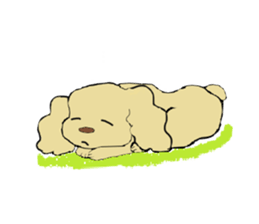 Toy poodle Waffle's lifestyle sticker #2980639