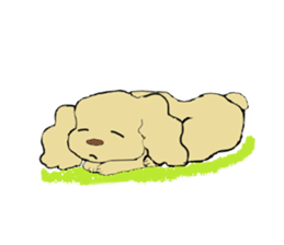 Toy poodle Waffle's lifestyle sticker #2980639