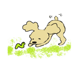 Toy poodle Waffle's lifestyle sticker #2980640