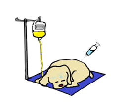 Toy poodle Waffle's lifestyle sticker #2980656