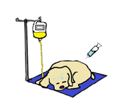 Toy poodle Waffle's lifestyle sticker #2980656