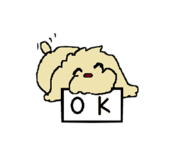 Toy poodle Waffle's lifestyle sticker #2980657