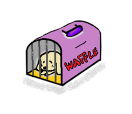 Toy poodle Waffle's lifestyle sticker #2980660