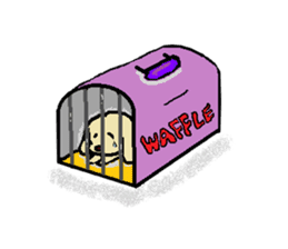Toy poodle Waffle's lifestyle sticker #2980660