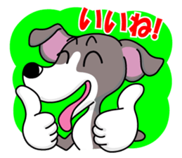 Italian Greyhound named Gina. sticker #2981195